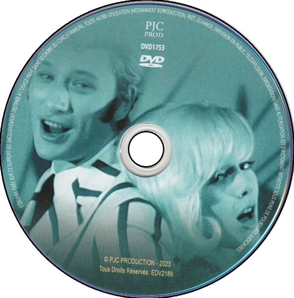 Johnny Hallyday Spécial Duos !