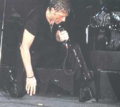 Il faut aimer aimer vivre !